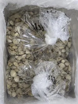 활바지락 小 (생물/10kg/중국산) 육수용/칼국수집 추천