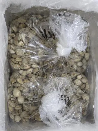 활바지락 小 (생물/10kg/중국산) 육수용/칼국수집 추천