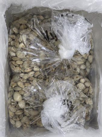 활바지락 小 (생물/5kg/중국산) 육수용/칼국수집 추천