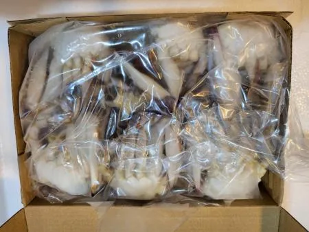 절단꽃게 (11/15/2L/중국산) 1BOX 5.4kg 이미지