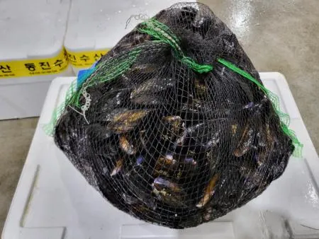 세척 다듬이 피홍합 [1kg] 이미지