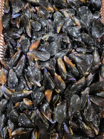 세척 다듬이 피홍합 [10kg]