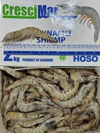 다이아몬드 에콰도르 31/40 흰다리새우 2kg 냉동새우 이미지
