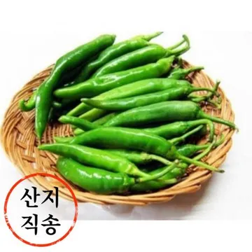 청양고추 1kg (특,국내산)