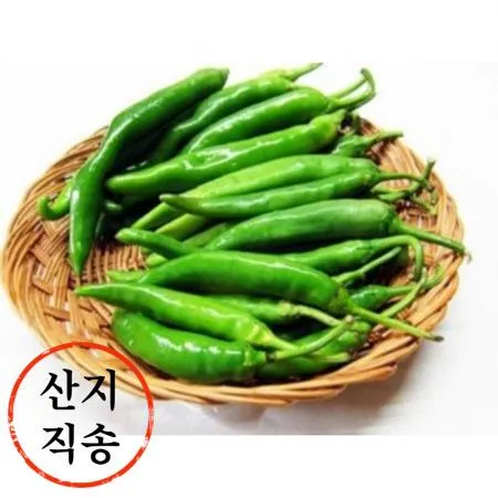 청양고추 1kg (특,국내산) 이미지