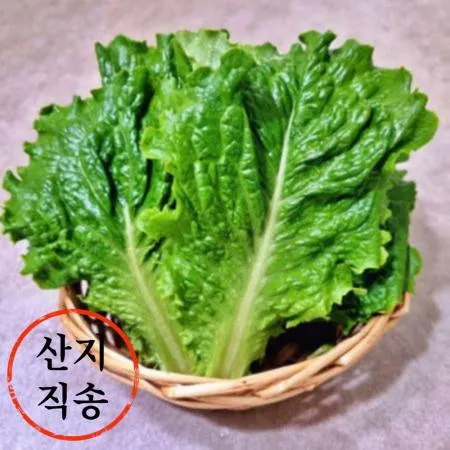 청로메인 1kg (국내산)