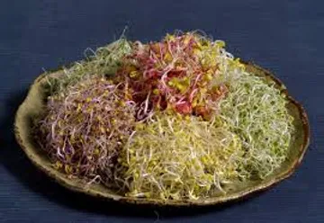 모듬새싹 500g (대,팩,국산)