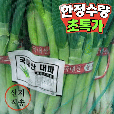 ★초특가★ 흙 대파 10단 (국내산) 흙대파