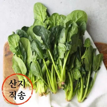 시금치 1kg (국내산)