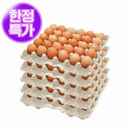 ★초특가★ 왕란 30알 (5판 묶음판매,계란,달걀)