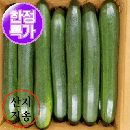 ★초특가★ 쥬키니 호박 10kg (특,20개 내외,국내산)BOX