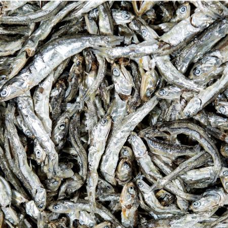 국산 햇 다시멸치 1.5kg (겨울 조업,남해,통영,국물 육수용 대 멸치)