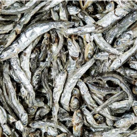 국산 햇 다시멸치 1.5kg (겨울 조업,남해,통영,국물 육수용 대 멸치)