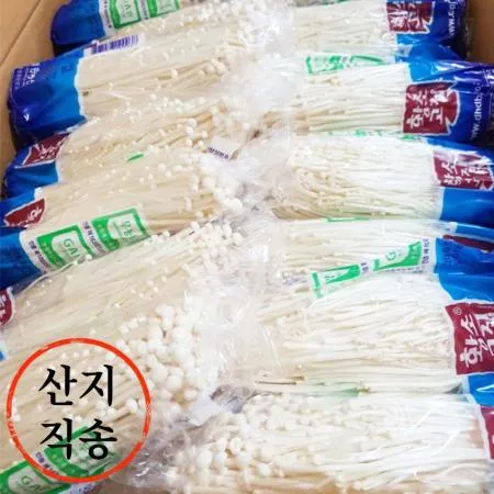 황소 팽이버섯 5kg(국내산)