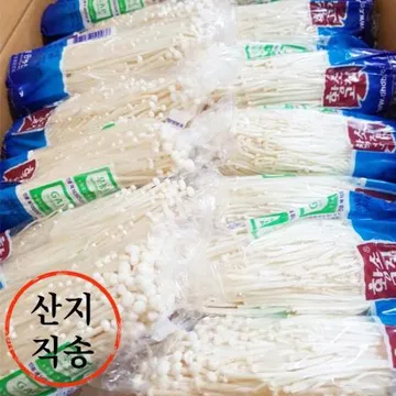 황소 팽이버섯 5kg(국내산) 팽이 버섯