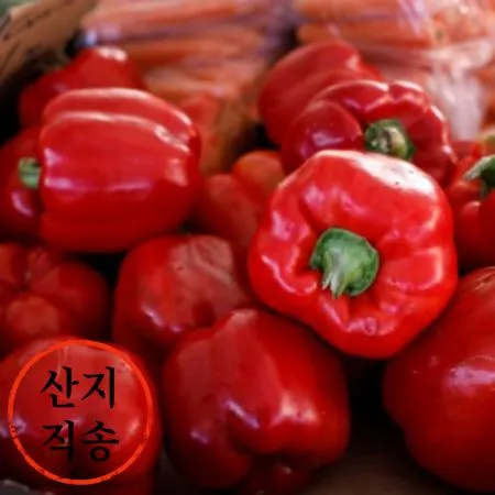 홍피망 1kg (특,국내산) 홍 피망