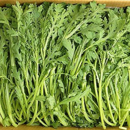 쑥갓 4kg (특,국내산)BOX