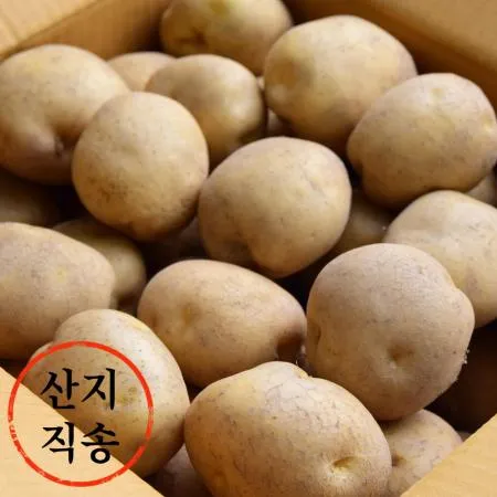 감자 20kg (왕특,국내산)BOX