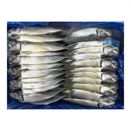 자반 고등어 9.5kg (소/24손,냉동) 이미지