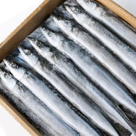 냉동 꽁치 9kg (1번,70미 내외) 생선구이 대만산