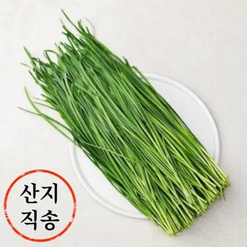 부추 1단 (국내산)