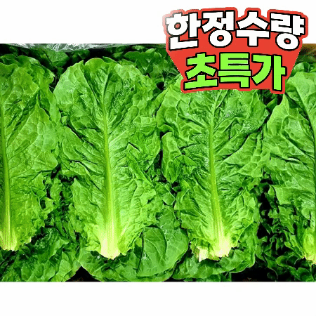 청상추 4kg (특,국내산)BOX 청 상추