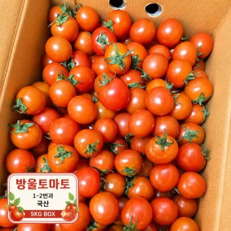 국산 방울토마토 5kg 1-2번과 BOX 방울 토마토