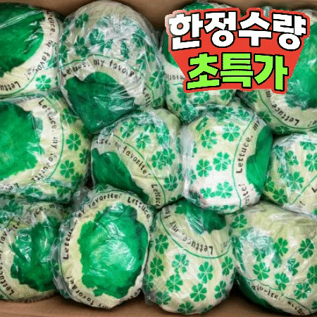 양상추 12수 (수입산) 1BOX