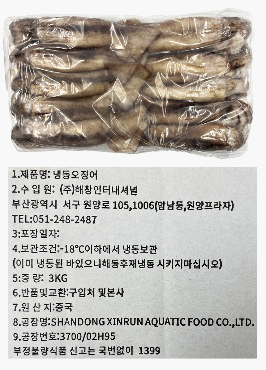 베이트 오징어 3kg (냉동) 고시정보