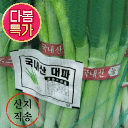 ★초특가★ 흙 대파 10단 (국내산) 흙대파