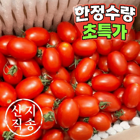 대추방울토마토 750g (빨강,팩,국내산) 대추 방울토마토  방울 토마토