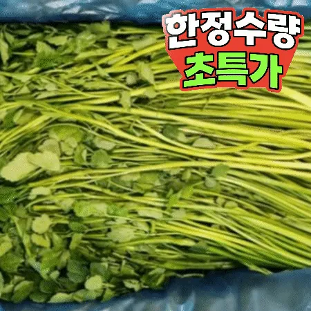 돌미나리 4kg (국내산) 미나리