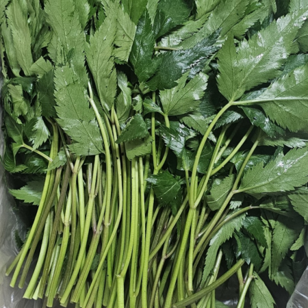 당귀 1kg (쌈용, BOX) 국내산