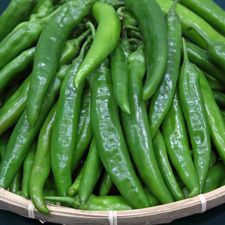 아삭이고추 1kg (상,국내산, 오이고추) 아식이 고추