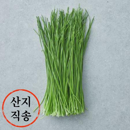 영양부추 1단 (솔부추,국내산) 이미지