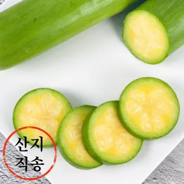 ★초특가★ 인큐 애호박 7kg이상 (특, 20개입,국산)BOX