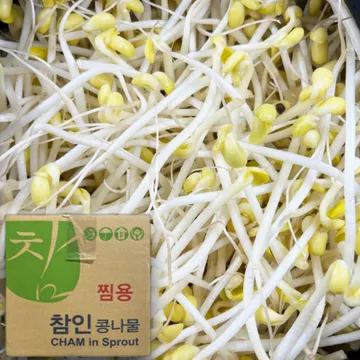 ★초특가★ 일자 콩나물 3.5kg (±200g)