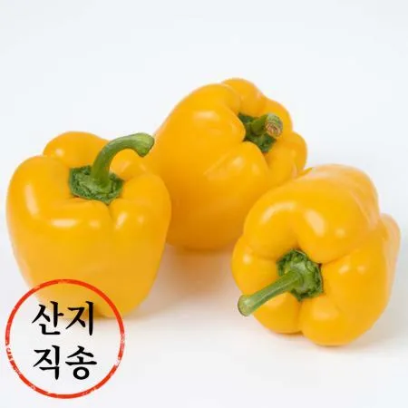 노랑 파프리카 1kg (국내산)