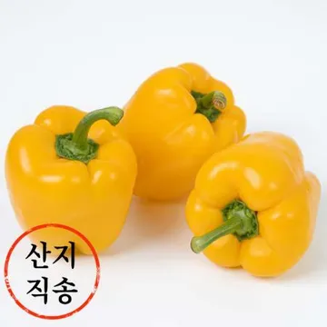 노랑 파프리카 1kg (국내산) 파프