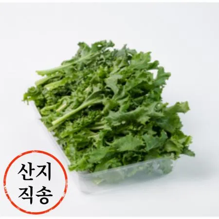 청치커리 2kg (특,국내산)BOX