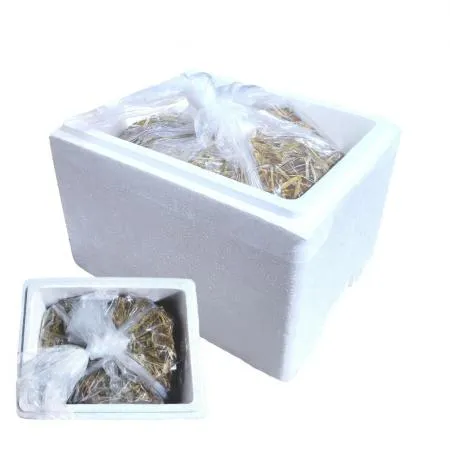 대양 마늘쫑채절임 10kg 짱아찌