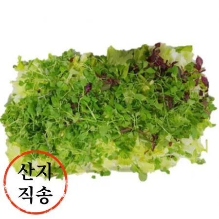 베이비순 50g (어린순,팩,소,국내산)