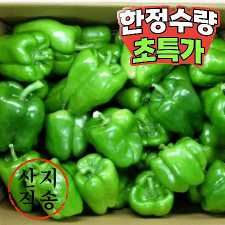 청피망 10kg (상,국내산) 청 피망