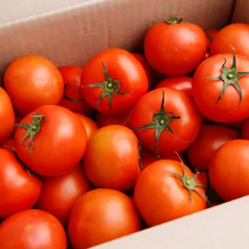 완숙토마토 1kg (1번과,소분,국내산) 토마토 완숙