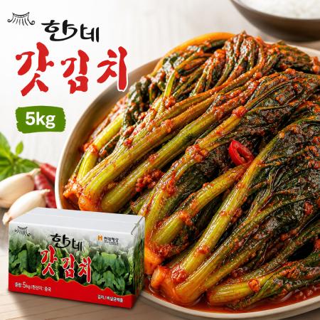 한가네 갓김치 5kg 수입산