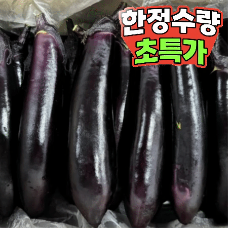 가지 5kg (특,국내산)BOX