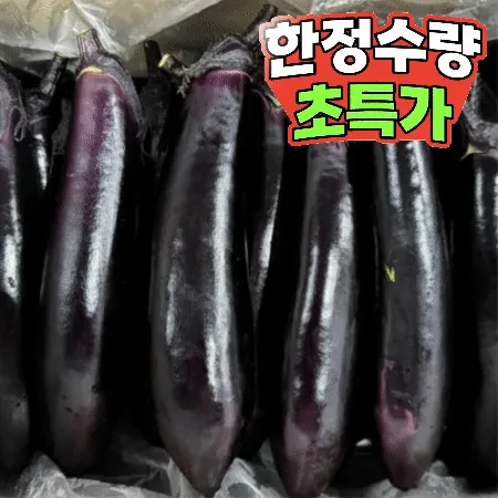 가지 5kg (특,국내산)BOX