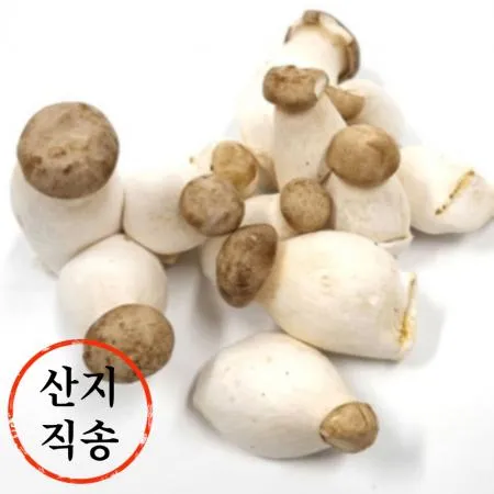 새송이버섯 2kg (총알,소,국내산)BOX