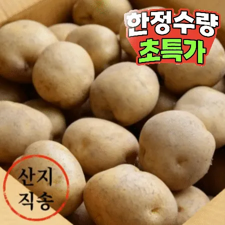 감자 20kg (왕특,국내산)BOX