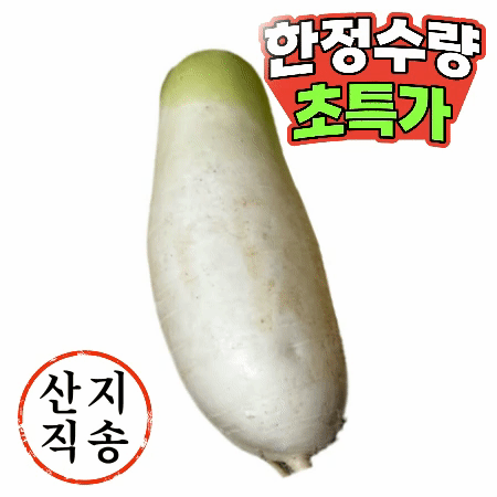 무우 낱개 1개 (특,국내산)